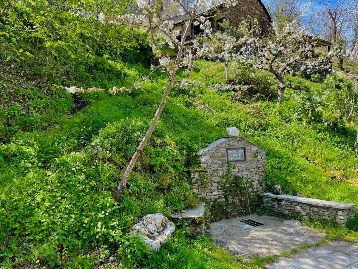 Casa Folibar - Desconexion En Plena Naturaleza - Valle Del Silencio Manzanedo de Valdueza Eksteriør billede